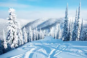 Kopaonik Ski Pass Cene 2023: Detaljan Vodič i Poređenje sa Prethodnim Sezonama