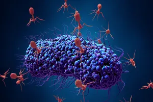 Bakteriofagi Nevidljivi Borci Protiv Bakterija
