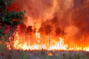 Katastrofalni požari u Španiji i Portugalu uništili hiljade hektara šuma