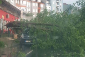 Nevreme u Kruševcu: Snažan vetar i obilna kiša donose haos i razornu snagu