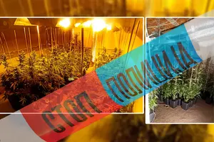 Policija u Kragujevcu razotkrila laboratoriju za proizvodnju marihuane