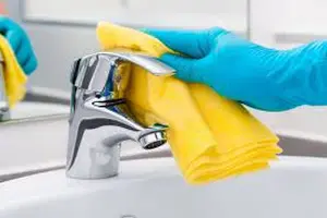 Prirodni načini čišćenja bez hemijskih sredstava-Brzo i efikasno
