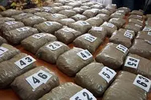 VELIKA POLICIJSKA AKCIJA : Zaplenjeno 50 kilograma droge na Bežanijskoj Kosi